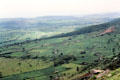 Farming landscape near Subukia. Kenya.