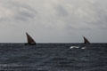 Traditional boats on Indian Ocean off Malindi Marine National Park. Kenya.