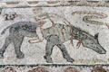 Roman mosaic floor detail of man seated backward on beast of burden at Volubilis. Morocco.