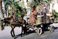 Donkey pulling cart of fruit. Marrakesh, Morocco.