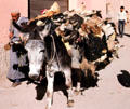 Donkey carrying sheepskins. Marrakesh, Morocco