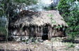Traditional thatched house with stone base in forest at Chichén Itzá. Mexico.