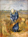 Peasant woman binding sheaves painting after Millet print by Vincent van Gogh at Van Gogh Museum. Amsterdam, NL.