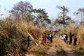Villagers burn off lighter grasses to gather reeds in Chitwan National Park. Nepal.