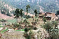 Terraced fields & houses in hills on road to Katmandu. Nepal