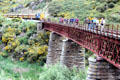 Passengers step off the train to catch a glimpse of the gorge on the Taieri Gorge Rail Road. New Zealand.