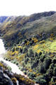 View of gorge from Taieri Gorge Rail Road. New Zealand.