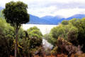 View of Lake Te Anau. New Zealand.