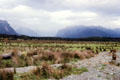 Landscape near Milford Sound. New Zealand.