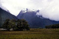 Snow-capped mountain near Milford Sound. New Zealand.