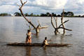 Women paddle by dead waterlogged trees in their canoe, Angoram. Papua New Guinea