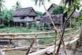 Houses & bridge at Timbunke. Papua New Guinea.