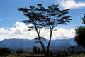 Trees and mountains make up the highland scenery. Papua New Guinea.