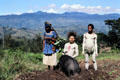 Mudmen with pig in PNG highlands. Papua New Guinea.