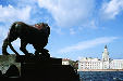 Lion on Palace Bridge facing toward Zoological Museum in St Petersburg. Russia.