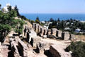 Ruins of Carthage on grounds of Carthage Museum. Tunis, Tunisia