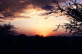 Sunset over Serengeti National Park. Tanzania.