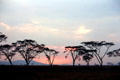 Sunset above Serengeti National Park. Tanzania.