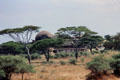 Seronera Wildlife Lodge in Serengeti National Park. Tanzania