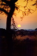 Sunrise over Serengeti National Park. Tanzania.