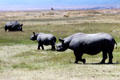 Family of White Rhinoceros in Ngorongoro Park. Tanzania