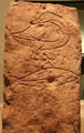 Pictish stone slab inscribed with goose & fish from Easterton of Roseisle at National Museum of Scotland. Edinburgh, Scotland.
