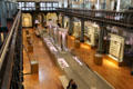 Gallery with natural history collection at Hunterian Museum. Glasgow, Scotland.