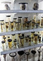 Dr. William Hunter's medical specimens collection at Hunterian Museum. Glasgow, Scotland.
