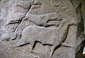 Pictish cross-slab detail of hound attacking elk at St Vigeans Museum. Arbroath, Scotland.