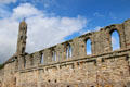 Only remaining wall & western tower of nave of St Andrews Cathedral. St Andrews, Scotland.
