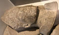 Stone fragment of tomb of Bishop Henry Wardlaw in museum at St Andrews Cathedral. St Andrews, Scotland.