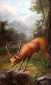 Stag painting by John Bucknell Russell in entrance hall at Haddo House. Methlick, Scotland.