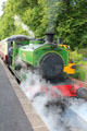 Salmon steam locomotive by Andrew Barclay Sons & Co. of Kilmarnock at Royal Deeside Railway. Scotland.