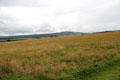 Terrain of Culloden Battlefield which put Highlander Jacobites at disadvantage. Culloden Moor, Scotland.