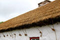 Details of how Ballyveaghmore farm thatching held down by ropes at Ulster Folk Park. Belfast, Northern Ireland.