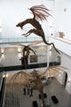 Sculpted dragons from Belfast-produced Game of Thrones TV series hang in atrium of Ulster Museum. Belfast, Northern Ireland.