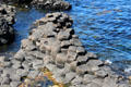 Varying shapes at Giant's Causeway. Northern Ireland