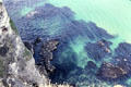 View of rocky sea below Dunluce Castle. Northern Ireland.
