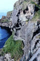 Carrick-a-rede Rope Bridge an exciting walk to a bird sanctuary island. Northern Ireland.