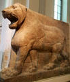 Assyrian colossal guardian lion guarding doorway of Temple of ishtar from Nimrud at British Museum. London, United Kingdom.