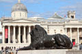 National Gallery building beyond Lion of Trafalgar Square. London, United Kingdom