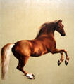 Life-size painting of horse Whistlejacket by George Stubbs at National Gallery. London, United Kingdom.