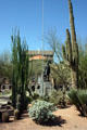 Cactus garden & State Capitol. Phoenix, AZ.