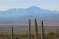 View from Sonoran Desert Museum to valley & mountains. Tucson, AZ