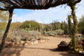International cactus garden at Sonoran Desert Museum. Tucson, AZ.