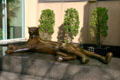 Cougar statue by Gwynn Murriell at entrance of US Bank Plaza. Sacramento, CA.