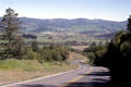 Road looking down into the Napa Valley. CA.