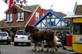 Horses pull carriage through town. Solvang, CA.