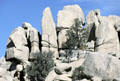 Rock foundations of Joshua Tree National Park. CA