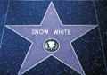Snow White's star on Hollywood's walk of fame. Hollywood, CA.